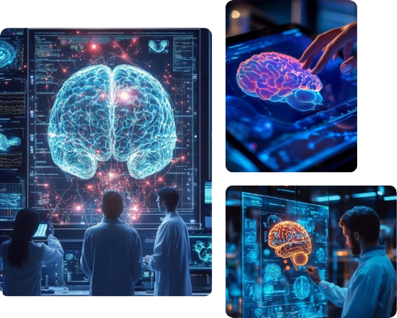 human brain waves and consciousness