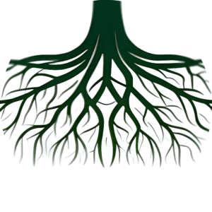 alpha and theta waves during deep meditation